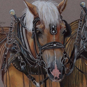 Horse Power, Signed Print from Colored Pencil Drawing, Draft Horses image 2