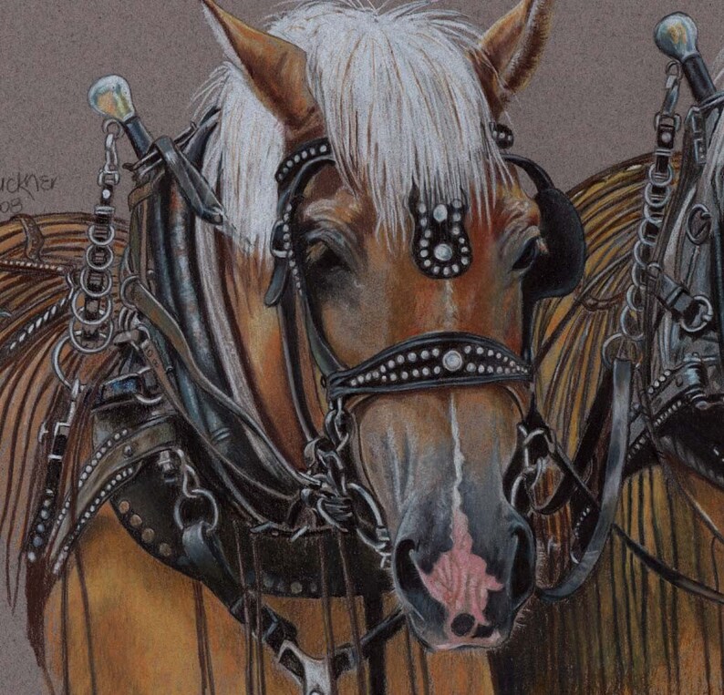 Horse Power, Signed Print from Colored Pencil Drawing, Draft Horses image 2