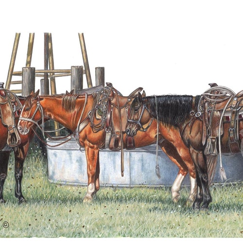 Grazing Bay Quarter Horse Print From Colored Pencil Drawing Etsy