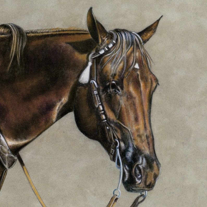 Colored Pencil on Suede Board of Ranchroping Horse Etsy