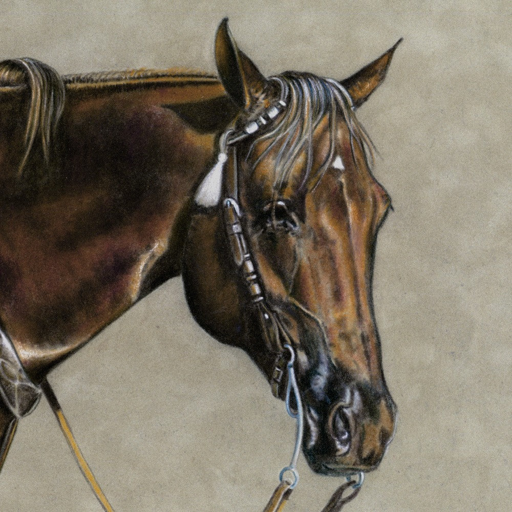 Equine Print From Colored Pencil Drawing ~ Ranch-roping Horse ~ Western ...