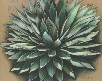 Art Print of Blue Glow Agave ~ Southwestern Wall Decor ~ Succulent Art ~Signed Print