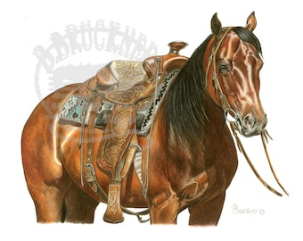 Quarter Horse Portrait Print: Bay Mare, Western Saddle Horse, Equine Art