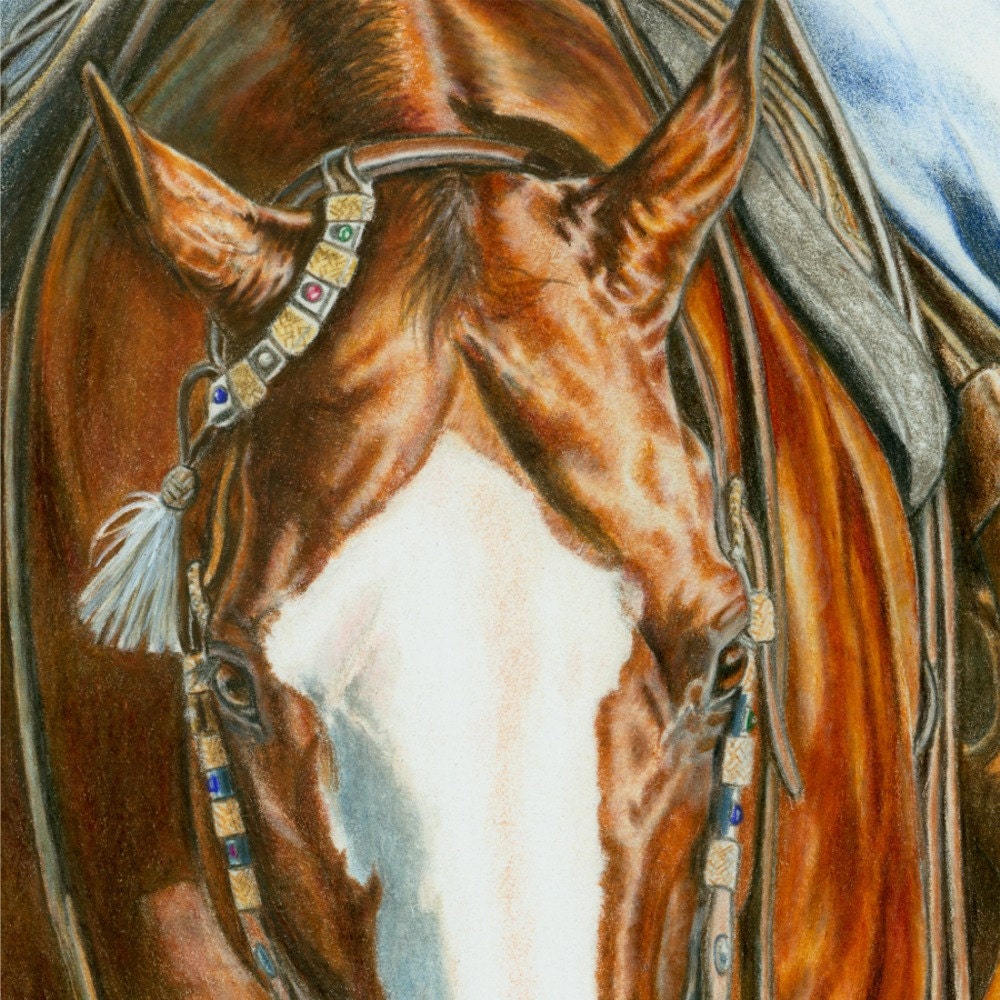 Colored Pencil Portrait of AQHA Western Saddle Horse Equine Print