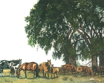 Limited Edition, Signed/Numbered Equine Print ~ Mares and Colts ~ Cottonwood Trees ~ Western Equine Art ~ Large Unframed Print