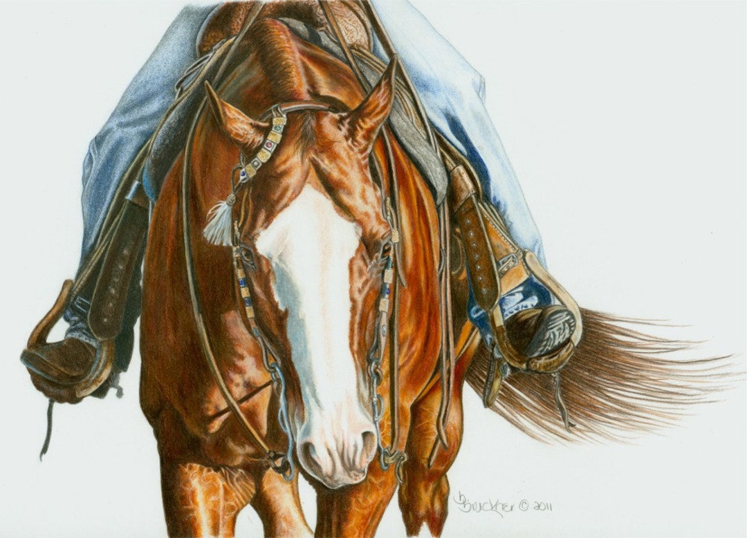 色鉛筆画 馬の肖像 原画 A4サイズ フレーム付き AQHA ウエスタンサドルホースの色鉛筆肖像画 ~ 馬のプリント ~ 美しく