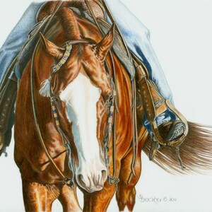 Koń siodłowy AQHA Western ~ Druk z końmi ~ Pięknie szczegółowa sztuka koni ~ Portret wykonany kredkami