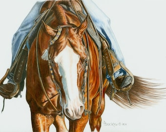 Colored Pencil Portrait of AQHA Western Saddle Horse ~ Equine Print ~ Beautifully Detailed Horse Art ~ Western Art ~ Unframed Print