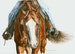 Colored Pencil Portrait of AQHA Western Saddle Horse 