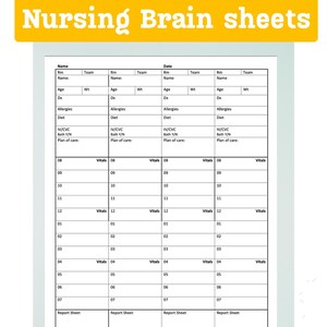 DAYSHIFT Med-Surge/ Pediatric Nursing Brain/ shift organizer
