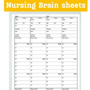 NIGHTSHIFT Med-Surge/ Pediatric Nursing Brain/ shift organizer