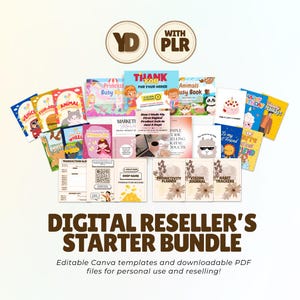 Digital Reseller&#39;s Starter Bundle with MRR and PLR