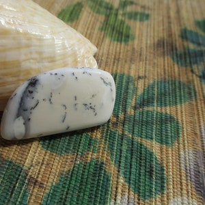 May include: A polished white stone with black inclusions, next to a large, cream-colored seashell. The stone has a smooth, rounded shape. The background features a woven mat with green and brown floral patterns.