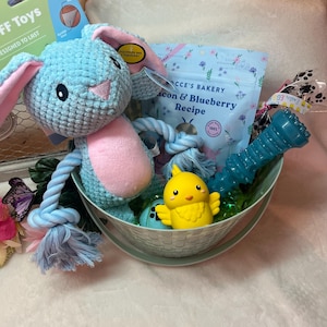 Dog Easter Treat Basket Aggressive Chewers.  TUFF Large  Holiday Toys  for a  Sweet Spring Surprise Dog Parent Bark Box