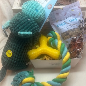 Dog Toy and Treat  Basket for those Aggressive Chewers.  TUFF Large &  Cute  Themed Toys  for a  Sweet  Surprise.