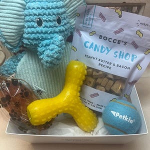 Dog Easter Treat Basket Aggressive Chewers.  TUFF Large  Holiday Toys  for a  Sweet Spring Surprise Dog Parent Bark Box