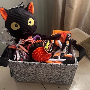 Dog Halloween Treat Basket for those Aggressive Chewers.  TUFF Large & Spooky Fall Themed Surprise for your pet requiring tough material