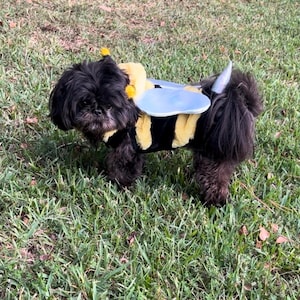 Bumble Bee Pet Costume, Unique Halloween Outfit, Dog Dress-up, Cute  Halloween  Costume for reacup (small) to large  dogs or cats