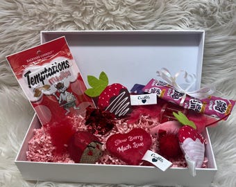 Cat Valentine Gift Basket New Kitten Gift Box Pet Gift Catnip Toys Cat Treats Cat Lovers Gift Cat Gift Box
