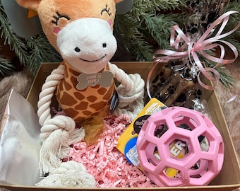 Welcome Home Puppy Gift Box New Puppy Gift Box Gift for Dog Puppy treats Dog Gift Basket Puppy Starter Kit Puppy treat Basket Fur baby gift