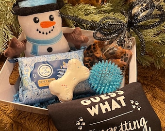 Welcome Home Puppy Gift Box - New Puppy Gift - Christmas puppy- New Puppy  treats-  Dog Gift Basket - Dog Lover- Dog Mom gift-Puppy Ornament
