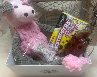 Welcome Home Dog Gift Basket - Perfect Care Package for New Pet Parents