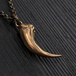 Velociraptor Claw Necklace in Solid Bronze Deinonychus  Dinosaur Gift for Him or Her