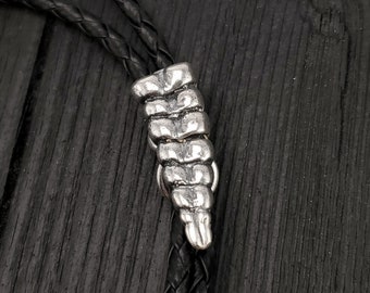 Rattlesnake Tail Bolo Tie - Life Size - Silver Plated Bronze Snake Rattle - Black Braided Cord with Silver Tips - Unique Suit Accessory