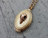 Antique Brass Victorian Bird Skull Folding Locket Pendant Necklace - Memory Keepsake Photo Locket - Rare Unique Gift