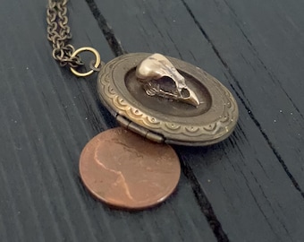 Antique Brass Bird Skull Locket Necklace