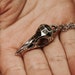 see more listings in the Birds/Bird Skulls section