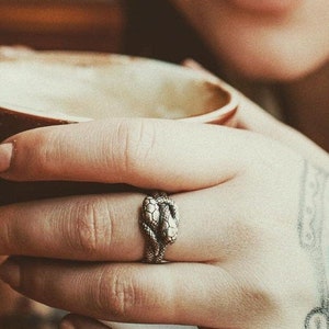 Twin Snake Infinity Ring - .925 Sterling Silver - Solid Hand Cast Oxidized Polished Finish - Double Ouroboros Serpent Knot Colubrid Snake