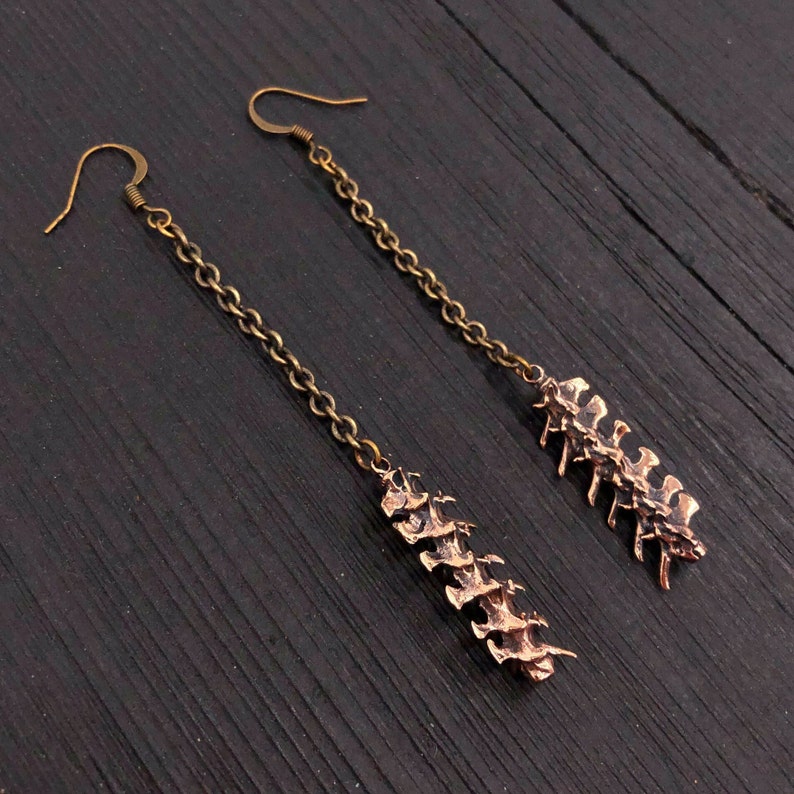 May include: A pair of long, dangling earrings with a bronze chain and a detailed bronze spine pendant.
