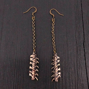May include: A pair of long, dangling earrings with a bronze chain and a bronze pendant shaped like a spine.