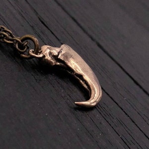 Mountain Lion Claw Charm Pendant Necklace Solid Hand Cast Jewelers Bronze Nature Inspired Cougar Panther Jewelry for Him or Her image 3