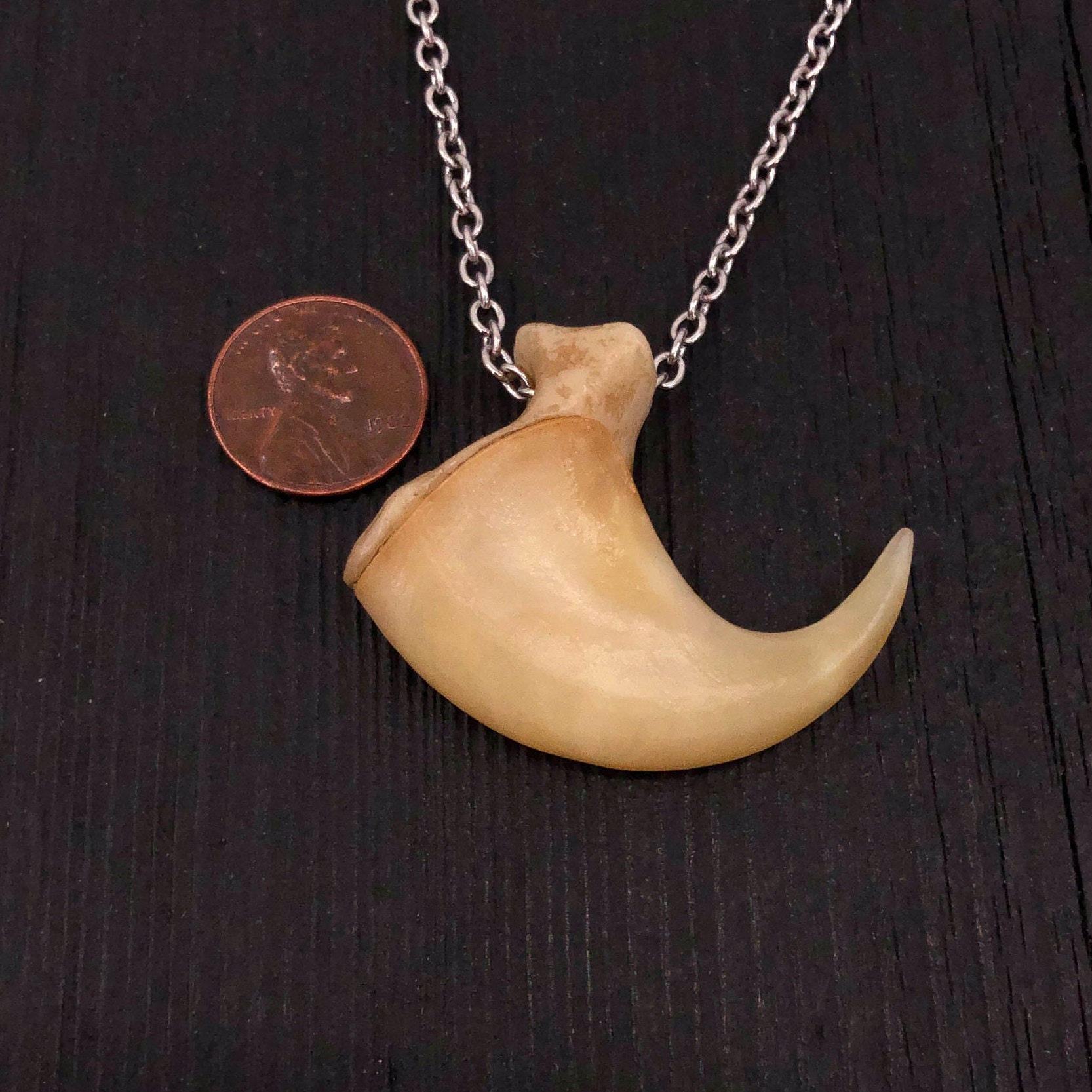 Search - Tag - lion nail locket