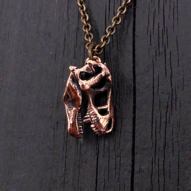 Bronze T-Rex Skull Necklace Dinosaur Jewelry Dino Pendant Tyrannosaurus Pendant Paleontologist Gift Archeology Jewelry Gold Dinosaurs image 5