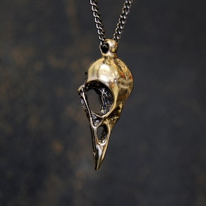 Crow Skull Charm Pendant Necklace Solid Cast Jewelers Bronze Unique Bird Skull Jewelry Gift for Bird Lover Multiple Chain Lengths image 1