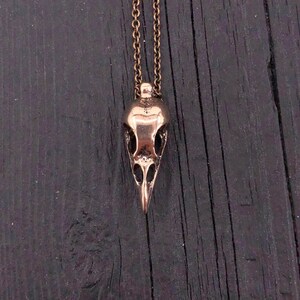 Crow Skull Charm Pendant Necklace Solid Cast Jewelers Bronze Unique Bird Skull Jewelry Gift for Bird Lover Multiple Chain Lengths image 3