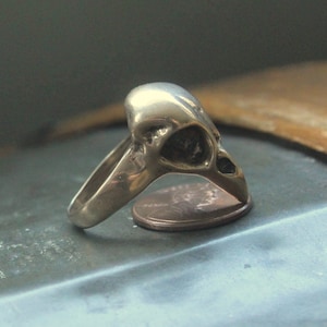 Bird Skull Ring Baby Crow in Solid Hand Cast Jewellers Bronze Rare Unique Nature Gift For Her image 7