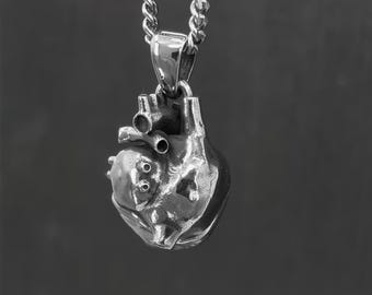 Anatomical Human Heart Charm Pendant Necklace in Hypoallergenic Stainless Steel
