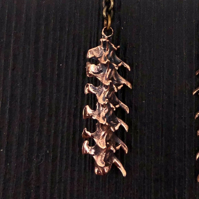 May include: A pair of copper earrings shaped like a spine. The earrings are hanging from a dark wooden background.