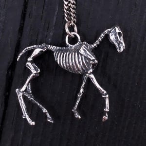 Sterling Silver Horse Skeleton Pendant, Gothic Animal Jewelry, Dark Academia Oddity Necklace