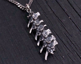 Snake Vertebrae Necklace - Sterling Silver Snake Vertebrae  Pendant Necklace