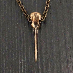 Ruby-Throated Hummingbird Skull Necklace Solid Bronze