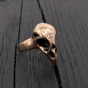 Bird Skull Ring Baby Crow in Solid Hand Cast Jewellers Bronze Rare Unique Nature Gift For Her image 1