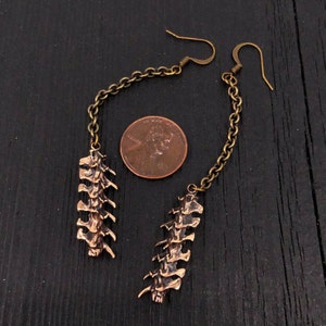 May include: A pair of long, dangling earrings with a bronze chain and a bronze pendant shaped like a spine. The earrings are hanging from a penny for scale.