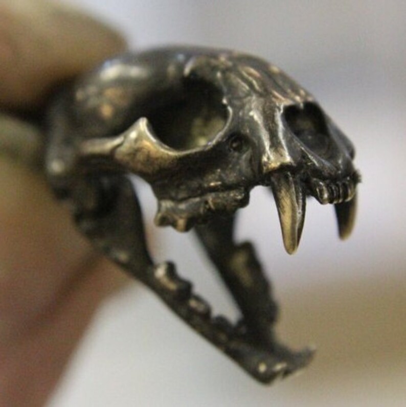 Cat Skull Necklace Wid Cat Skull With Articulated Jaw Etsy