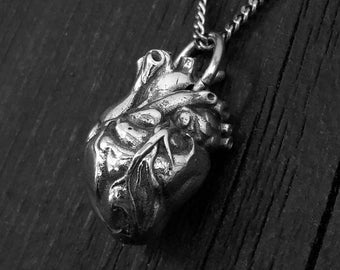 May include: A detailed silver pendant necklace featuring a realistic anatomical heart. The heart pendant is intricately sculpted, showcasing veins and chambers. The necklace has a silver chain and is displayed on a dark wooden surface.
