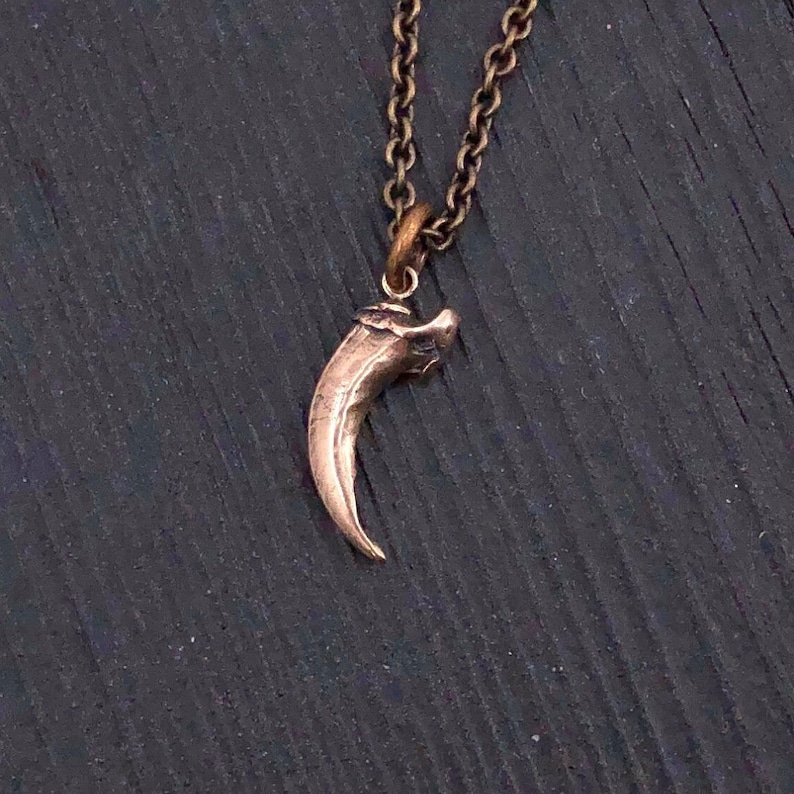 Fox Claw Necklace in Bronze A Perfect Little Fox Claw Necklace Gold Fox Claw Pendant Fox Jewelry Fox Necklace Nature Pendant image 3